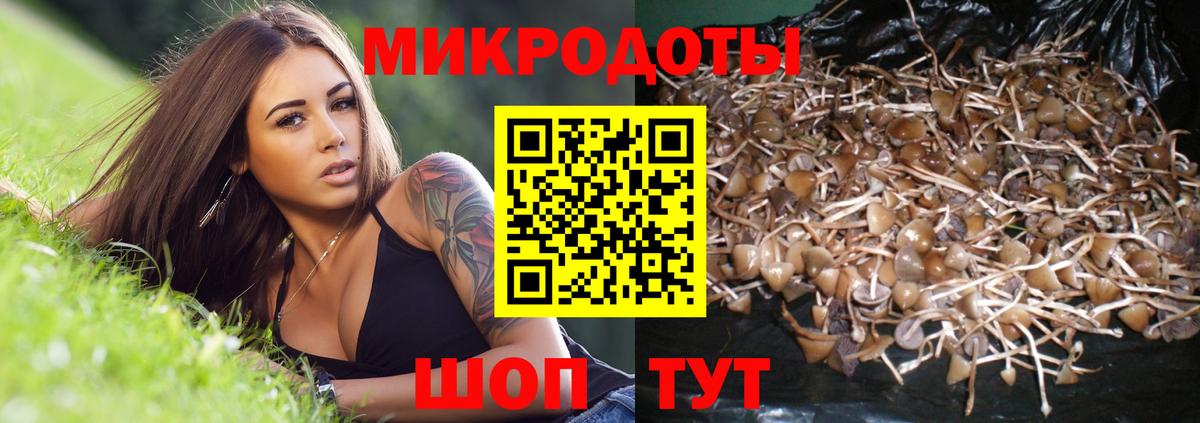 Галлюциногенные грибы Cubensis Зеленогорск