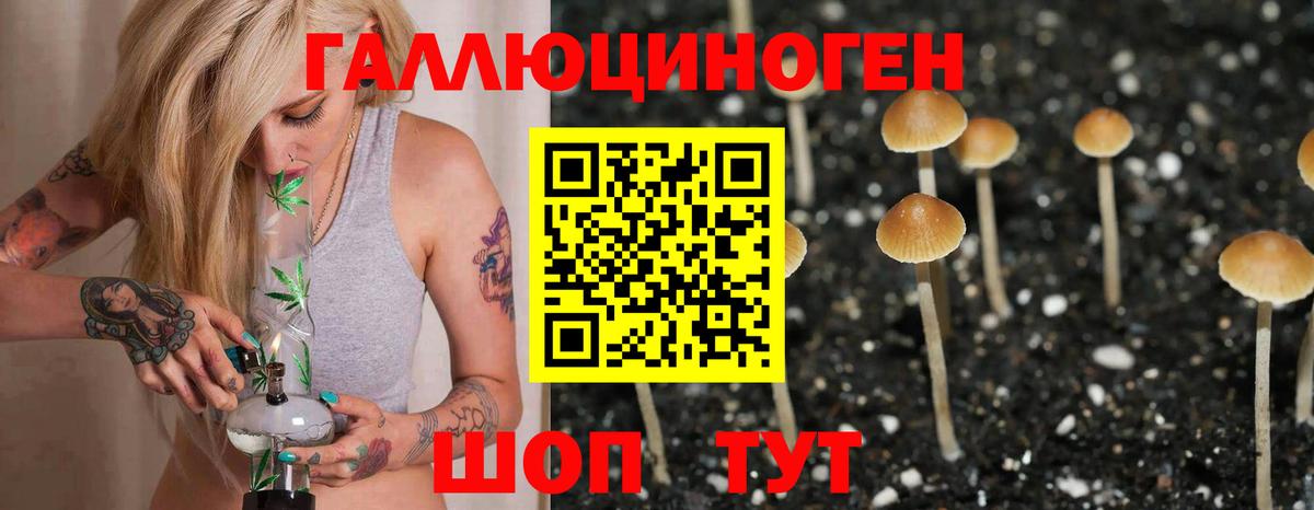 Зеленогорск  Галлюциногенные грибы Cubensis  Вход с VPN  Галлюциногенные грибы GOLDEN TEACHER 