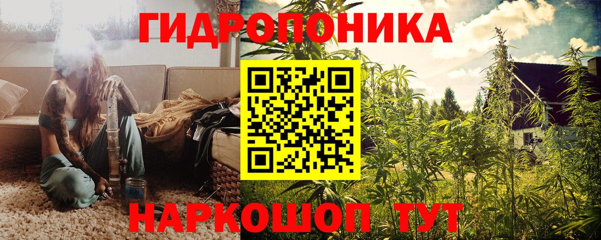 Зеленогорск  Шишки марихуана OG Kush  Канабис конопля  Шишки марихуана индика  Вход с VPN 