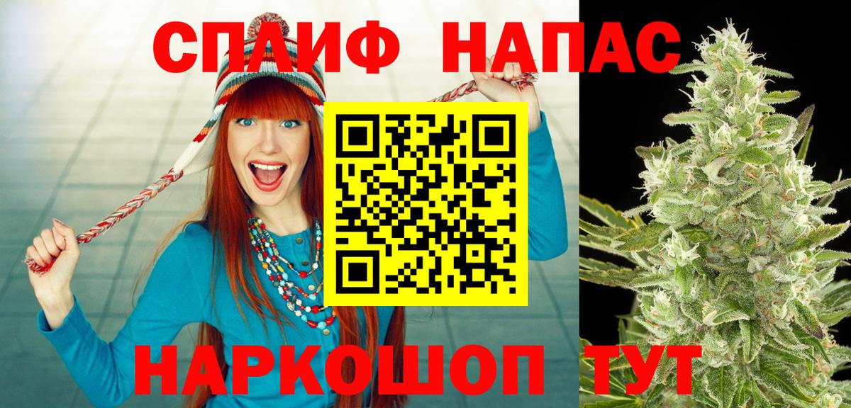 Бошки Шишки планчик Зеленогорск